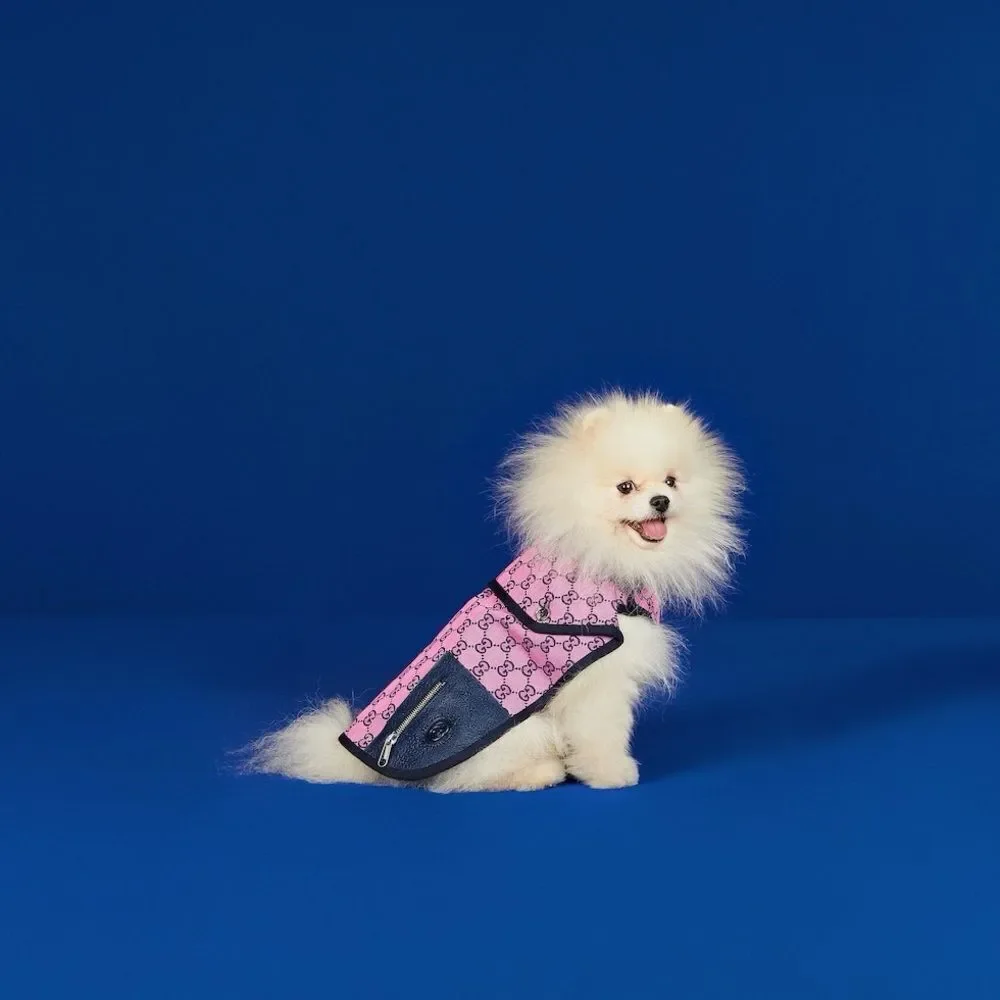 Dog Gucci  GG coatStylish Pink new with box